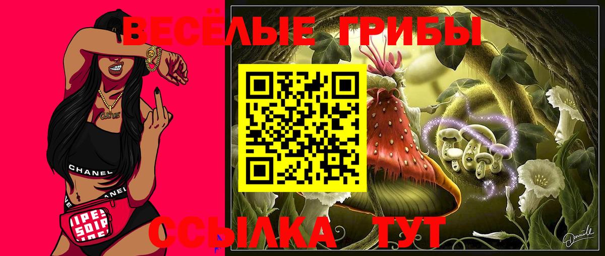 Галлюциногенные грибы GOLDEN TEACHER Сарапул